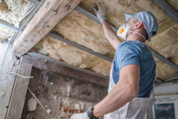 Best Insulation Maintenance and Repair in Bethalto, IL